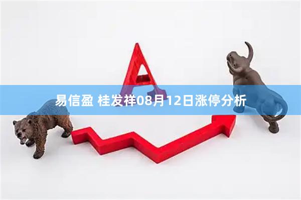 易信盈 桂发祥08月12日涨停分析